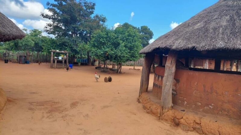 From Victoria Falls: Private Village Trip to Namibia Island - Introducing the Experience