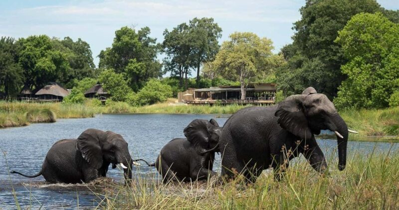 From Victoria Falls to Chobe National Park, Safari Adventure - Key Points