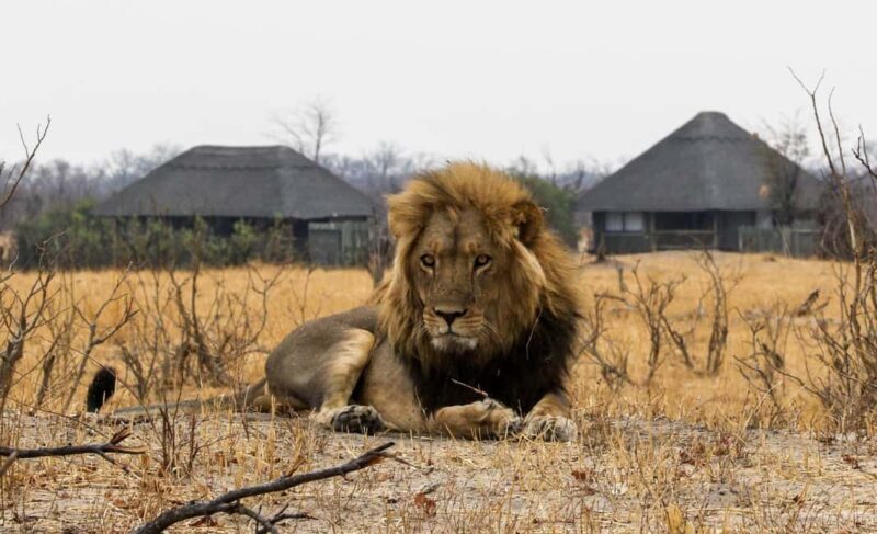 From Victoria Falls to Chobe National Park, Safari Adventure - Practical Considerations and Tips