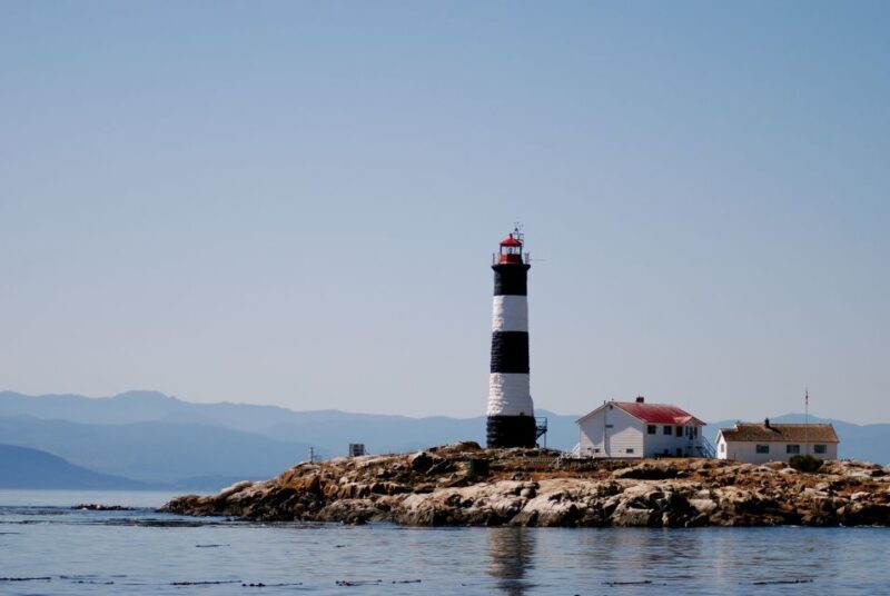 From Victoria: Whale Watching Marine Wildlife Excursion - Valuing the Experience