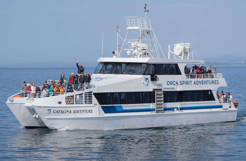 From Victoria: Whale Watching Trip on Covered Boat - Wildlife Encounters and Sightings