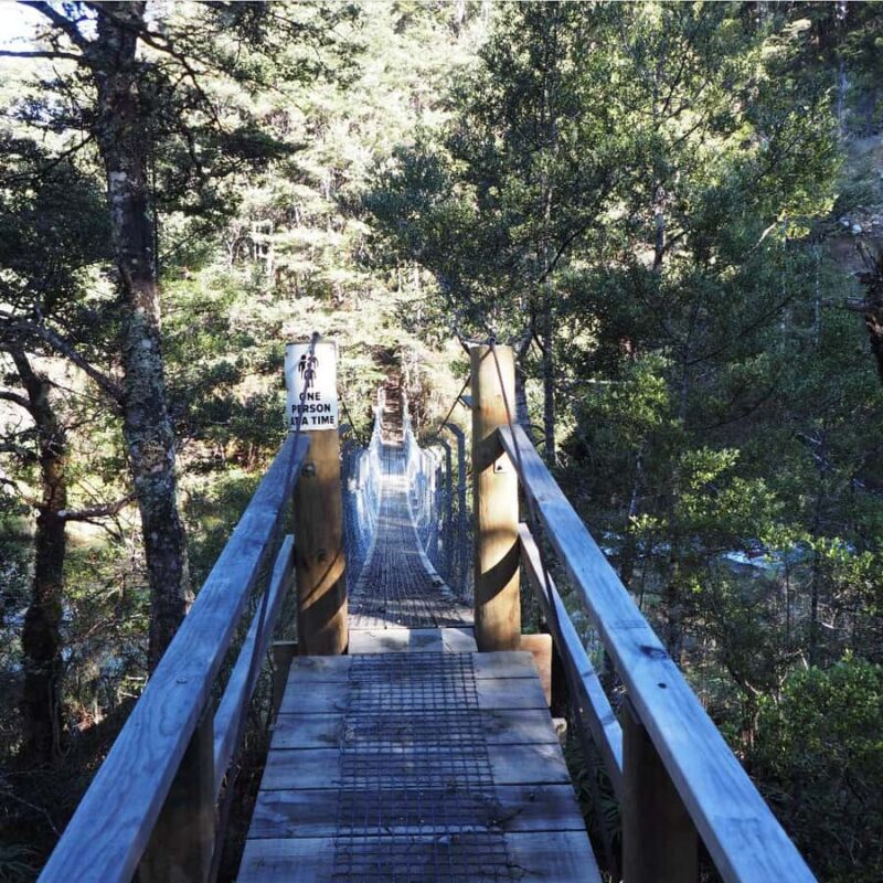From Waikato: Kaimanawa Descent Heli-Hiking Adventure - Key Points