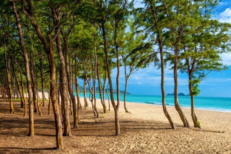 From Waikiki: Best of Oahu Photo Tour with Pickup - Who Should Book This Tour?