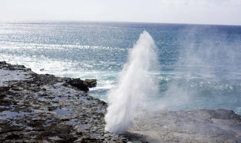 From Waikiki: Oahu Scenic Half-Day Circle Island Tour - An Introduction to the Tour Experience