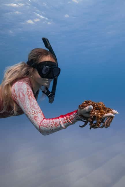 From Waikiki: Turtle Canyon Snorkeling Tour - FAQ: Your Practical Questions Answered
