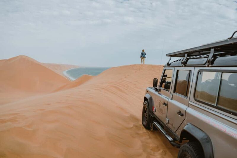 From Walvis Bay: Namibian Coast Day Cruise with Lunch - An In-Depth Look at the Experience