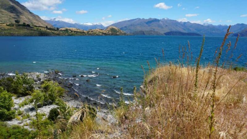 From Wanaka: Ruby Island 1-Hour Cruise and Photo Walk - Practical Tips for Travelers