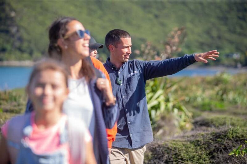 From Wellington: Kapiti Island Classic Guided Day Tour - Key Points