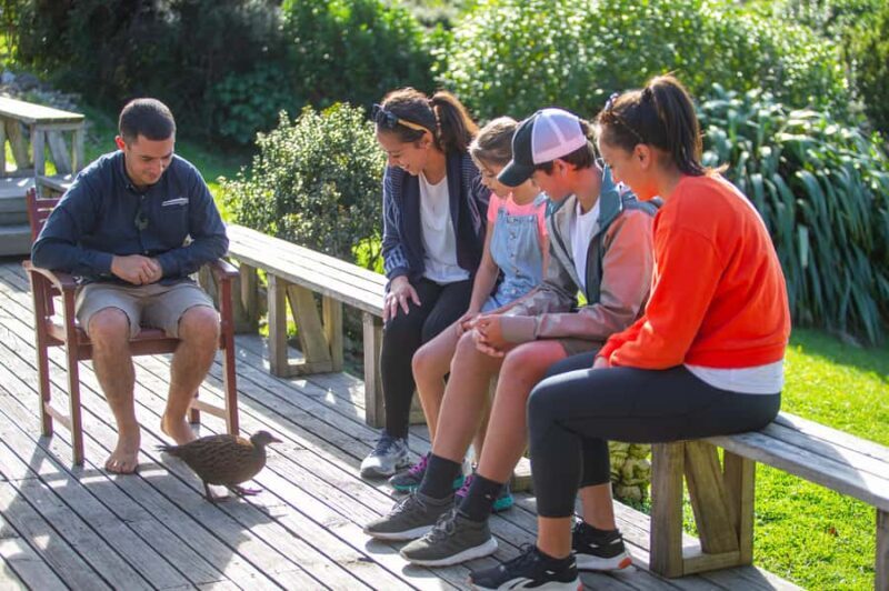 From Wellington: Kapiti Island Classic Guided Day Tour - An In-Depth Look at the Kapiti Island Guided Tour
