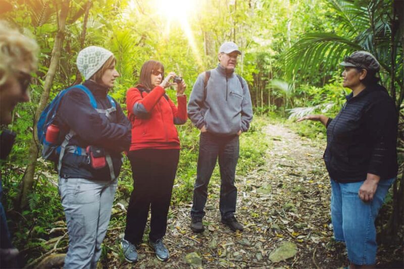 From Wellington: Kapiti Island Classic Guided Day Tour - Final Thoughts