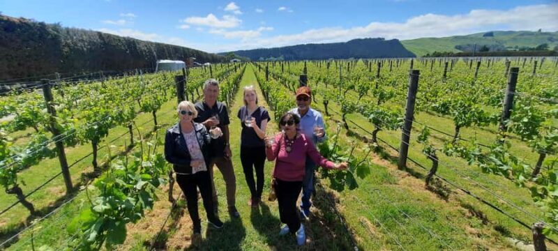 From Wellington: Martinborough Winery Tour - Introduction
