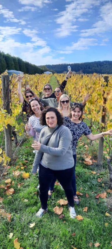 From Wellington: Martinborough Winery Tour - Key Points