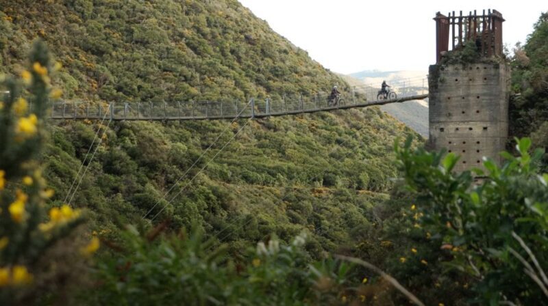 From Wellington: Remutaka Rail Trail eBike Tour - Authentic Feedback from Riders