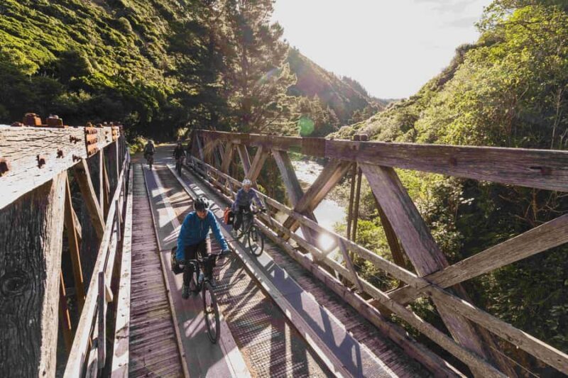 From Wellington: Remutaka Rail Trail eBike Tour - Final Thoughts: Who Should Consider This Tour?
