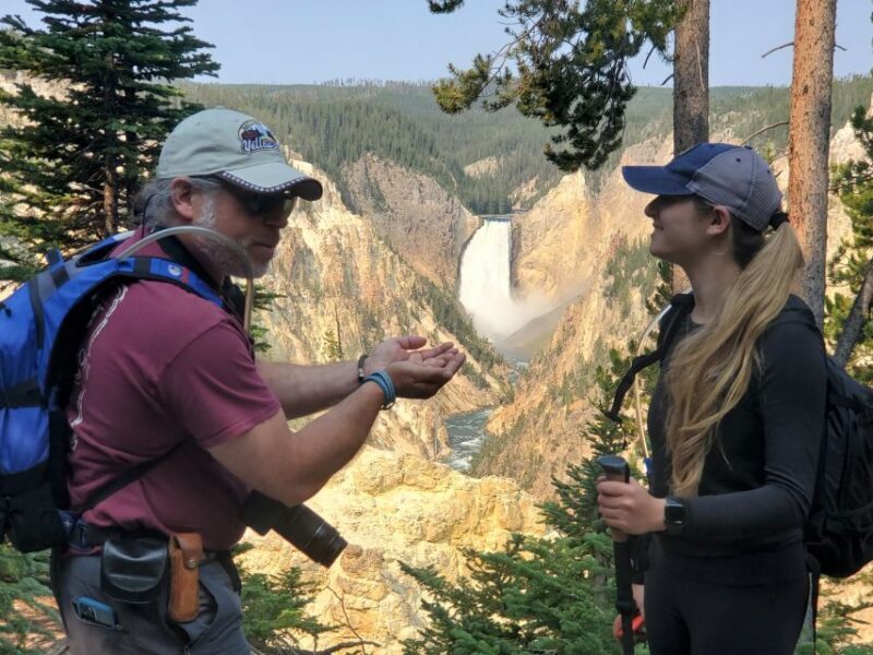From West Yellowstone: Lower Loop Active Van Tour - Authentic Experiences and Genuine Feedback