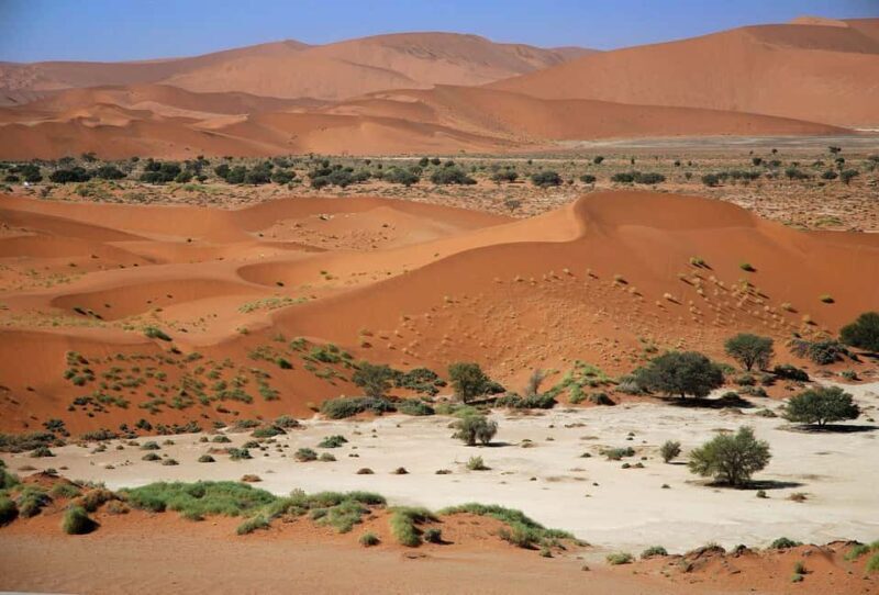 From Windhoek: Budget Sossusvlei Guided 2-Day Tour - Dive into Namibia’s Natural Beauty