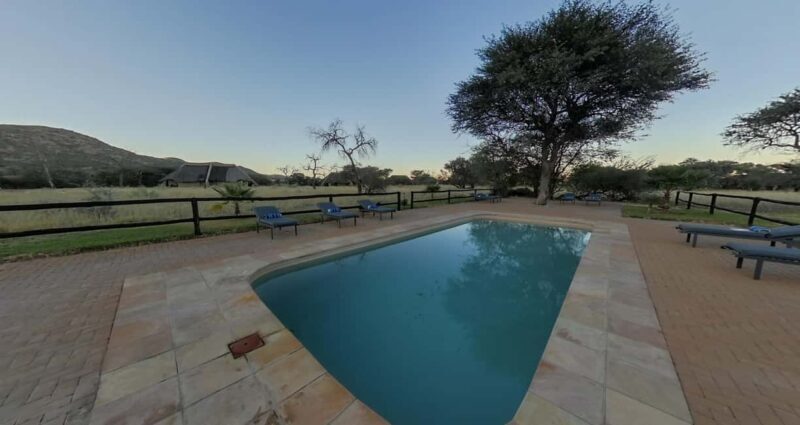 From Windhoek: Okapuka Safari Lodge Day Trip - Key Points