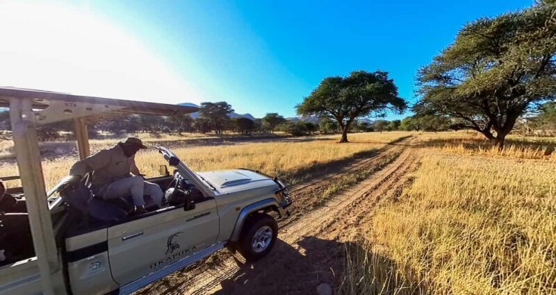 From Windhoek: Okapuka Safari Lodge Day Trip - A Closer Look at the Experience