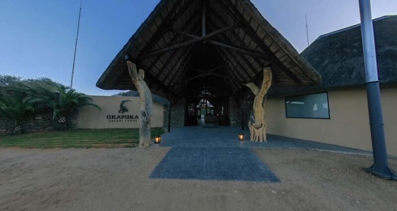 From Windhoek: Okapuka Safari Lodge Day Trip - Who Will Love This Tour?