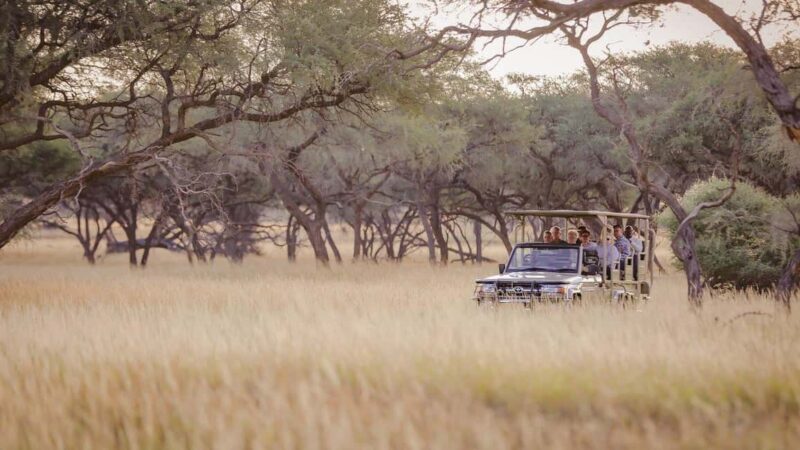 From Windhoek: Okapuka Safari Lodge Day Trip - FAQ: Your Practical Questions Answered
