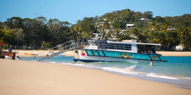 From Yeppoon: Great Keppel Island Snorkeling Hire with Lunch - A Full Breakdown of the Experience