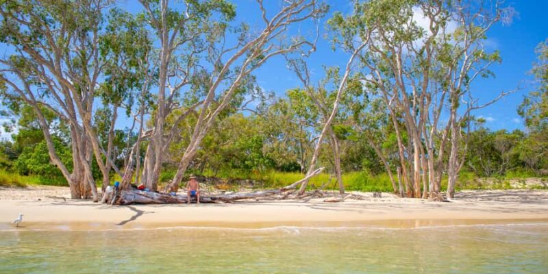 From Yeppoon: Great Keppel Island Snorkeling Hire with Lunch - What Travelers Are Saying