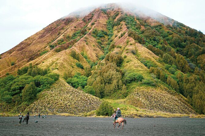From Yogyakarta to Bali : Bromo and Kawah Ijen in 3 Day Adventure - Key Points