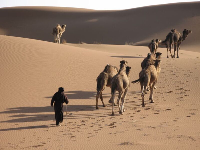 From Zagora: 2-Day Desert Tour to Erg Chegaga - What You Can Expect from This Tour