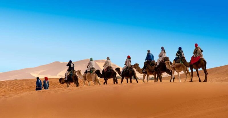 From Zagora: 2-Day Desert Tour to Erg Chegaga - Authenticity and Value