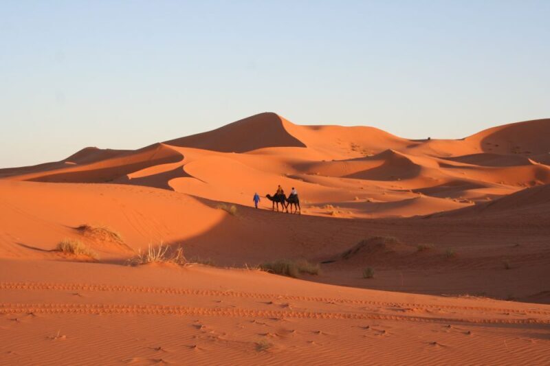 From Zagora: 2-Day Desert Tour to Erg Chegaga - The Sum Up