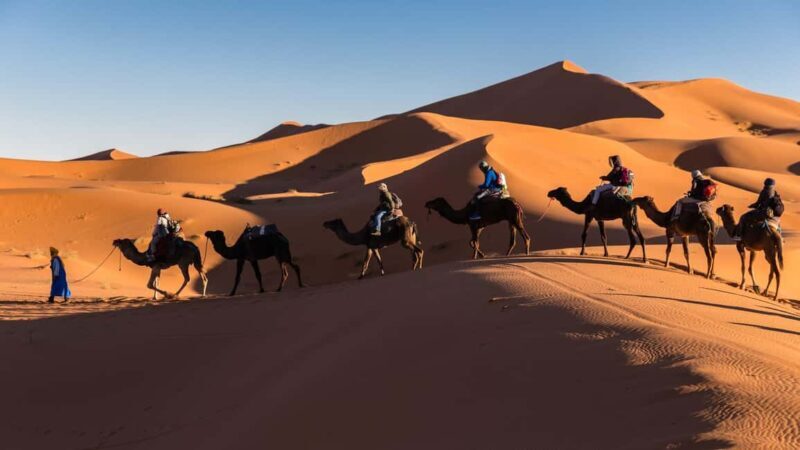 From Zagora: 3-Desert Tour to Erg Chigaga Dunes & Caml Trek - The Sum Up