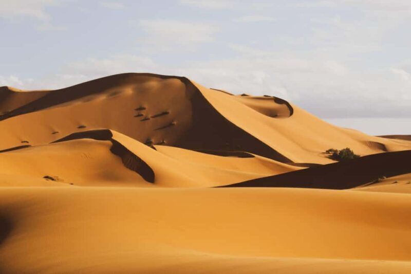 From Zagora: Overnight Desert Tour to Erg Chigaga Camel ride - Key Points