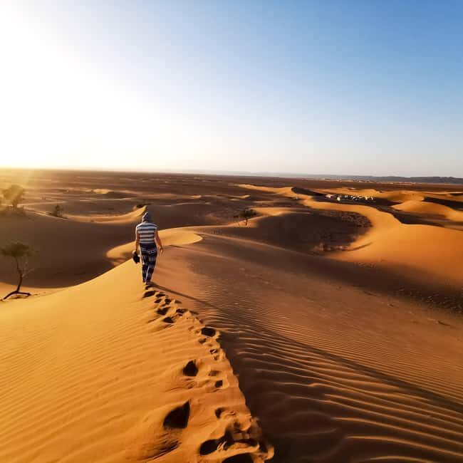 From Zagora: Overnight Desert Tour to Erg Chigaga Camel ride - An In-Depth Look at the Zagora to Erg Chigaga Tour