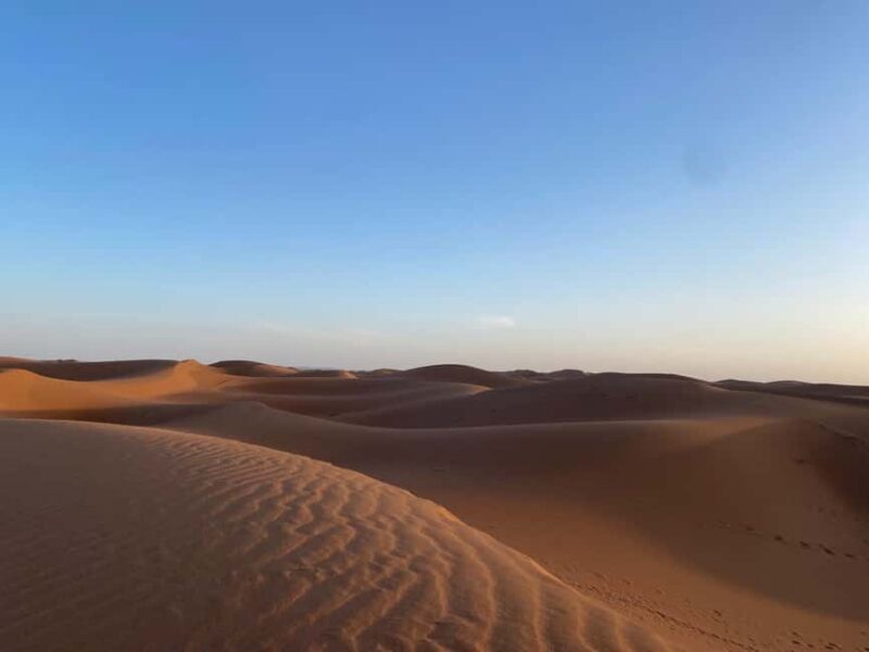 From Zagora: Overnight in Sahara Desert with camel ride - The Itinerary: A Day in the Sahara