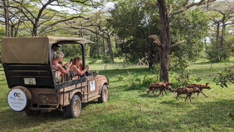 From Zanzibar: 1 Mystery Day Safari with Transfer - Key Points