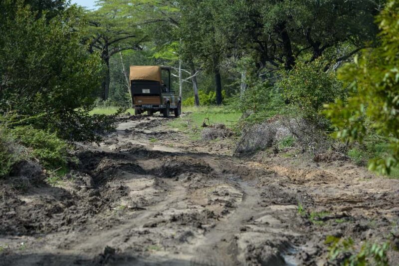 From Zanzibar: 1 Mystery Day Safari with Transfer - Exploring the Itinerary in Detail