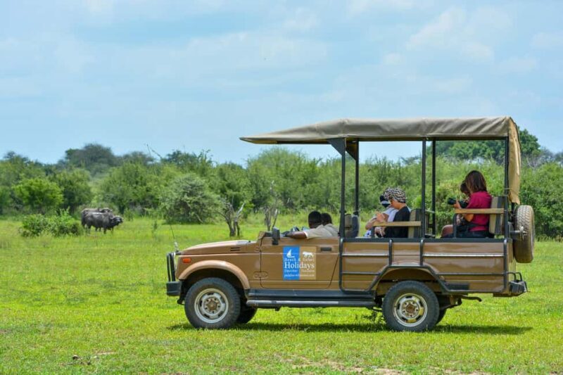 From Zanzibar: 1 Mystery Day Safari with Transfer - The Sum Up: Who Should Consider This Safari?