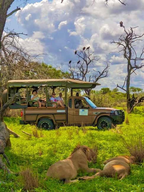 From Zanzibar: 2 Days 1 Night Selous GR Safari with Flights - Practical Tips for Your Safari