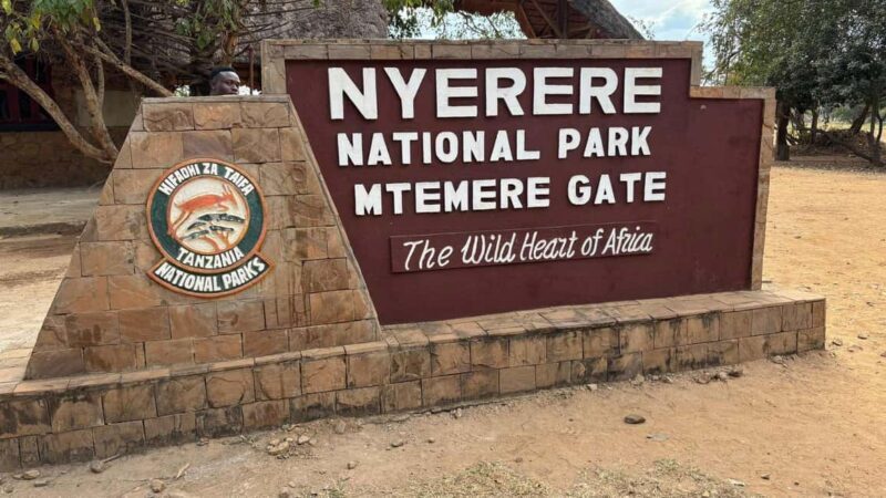 from Zanzibar: 2-Days Nyerere Wildlife Safari with flight - Key Points
