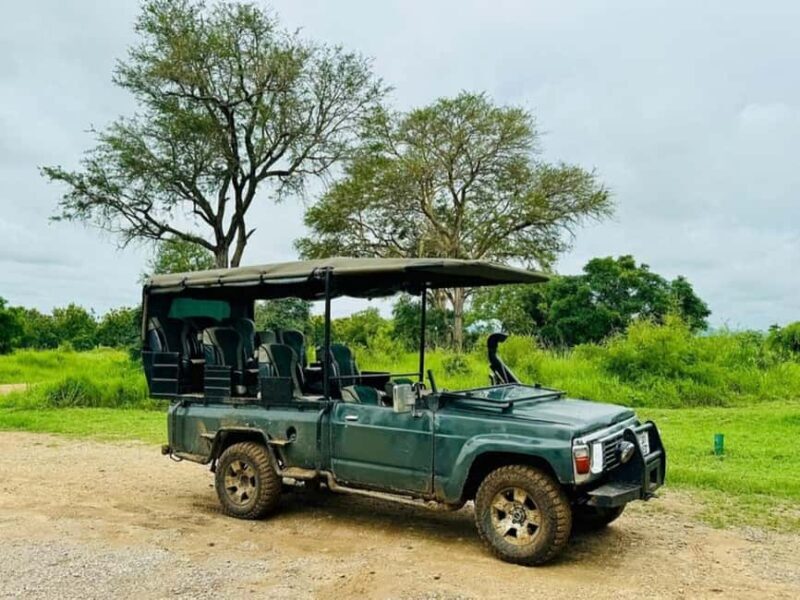 from Zanzibar: 3-Days Mikumi national park Safari with Train - What’s Included and What’s Not