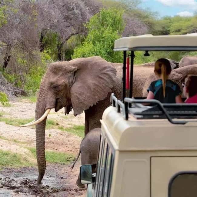From Zanzibar: 5-Day Selous and Mikumi Safari with Flights - Exploring the 5-Day Selous and Mikumi Safari from Zanzibar: Honest Insights for Adventurers