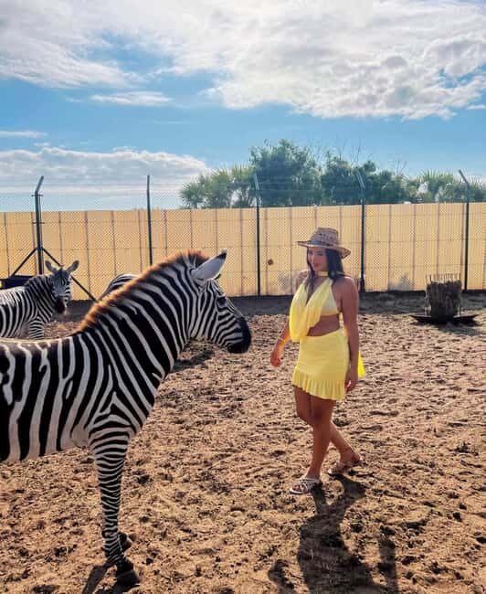 From Zanzibar Animal Feeding & Dar Es Salaam City Tour 2Days - From Zanzibar Animal Feeding & Dar Es Salaam City Tour 2Days: A Practical Look at an Enriching Adventure