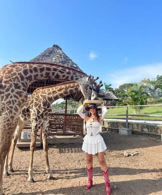 From Zanzibar Animal Feeding & Dar Es Salaam City Tour 2Days - Key Points