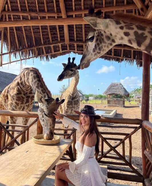 From Zanzibar Animal Feeding & Dar Es Salaam City Tour 2Days - What the Tour Includes and What to Consider
