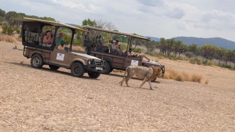 From Zanzibar: Best Day Safari Mikumi with flights and lunch - FAQ: Your Questions Answered