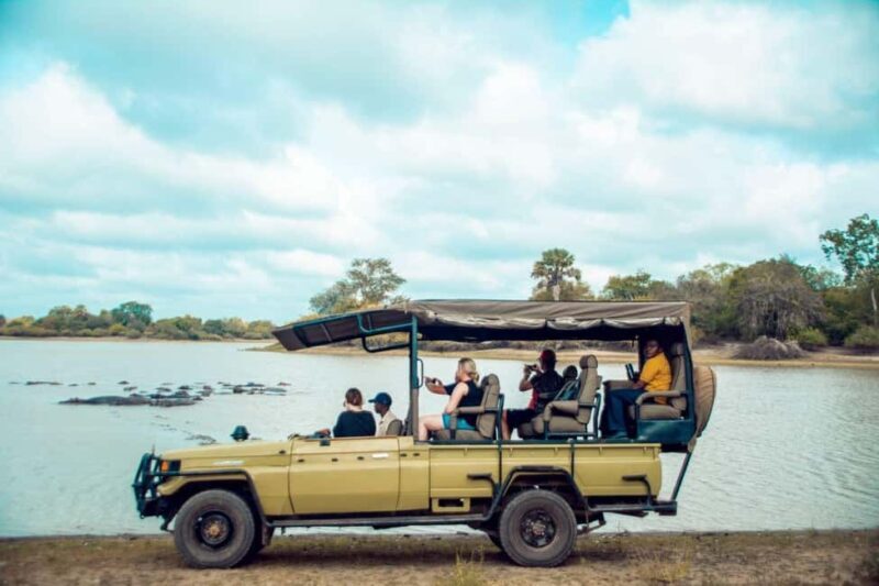 From Zanzibar: Mikumi Day Trip Safari By Flight. - Lunch in the Wilderness