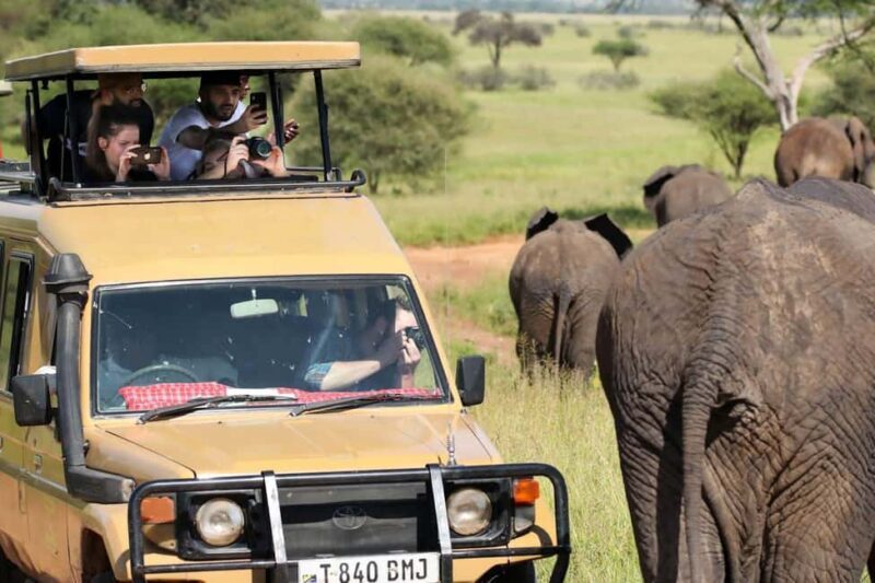 from Zanzibar: Mikumi national park 1-Day Safari by flight - Key Points