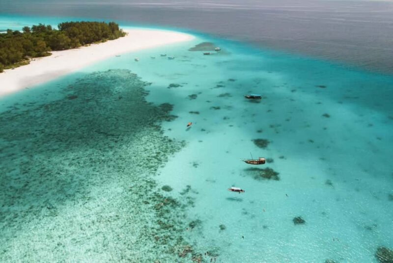 From Zanzibar: Mnemba Boat Tour with Snorkeling & Dolphine - An Honest Look at the Tour Experience