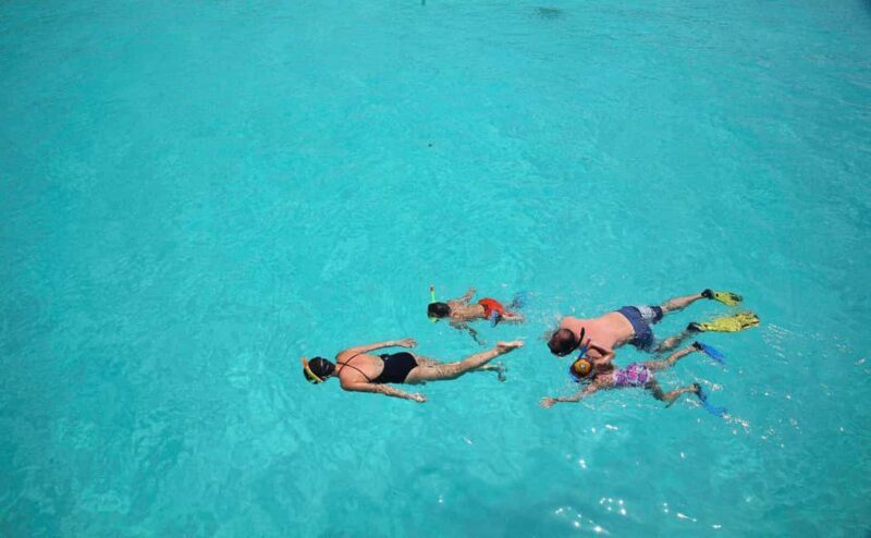 From Zanzibar: Mnemba Boat Tour with Snorkeling & Dolphine - FAQ