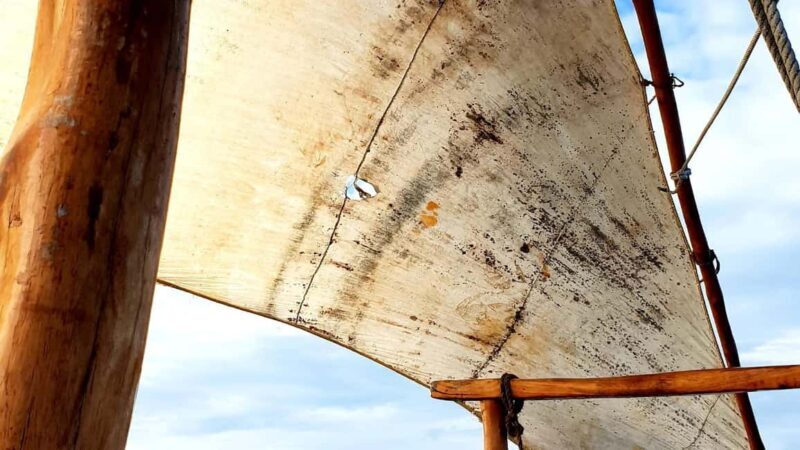 From Zanzibar: Mnemba Boat Trip Dolphins Adventure trip - What to Expect from the Trip